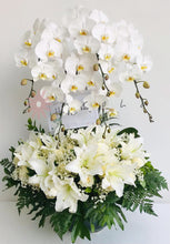 Load image into Gallery viewer, Rangkaian Bunga Segar dan Anggrek Hidup &#39;Pristine 5 Orchid&#39;