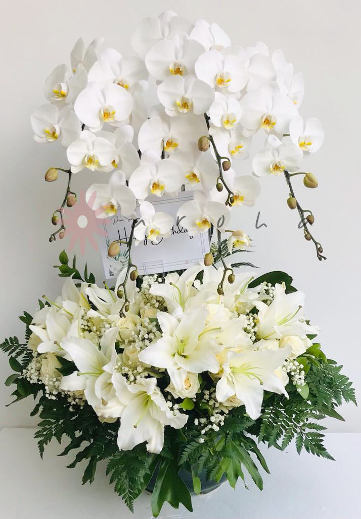 Rangkaian Bunga Segar dan Anggrek Hidup 'Pristine 5 Orchid'