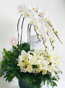Rangkaian Bunga Segar dan Anggrek Hidup 'Pristine 5 Orchid'