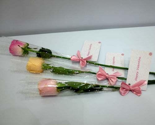 Rose - Valentine Moments