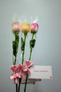 Rose - Valentine Moments